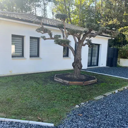 Salles, Maison A 30 Min D'arcachon Сasa de vacaciones